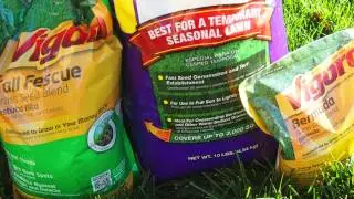 When To Plant Grass Seed