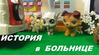 LPS: ИСТОРИЯ В БОЛЬНИЦЕ