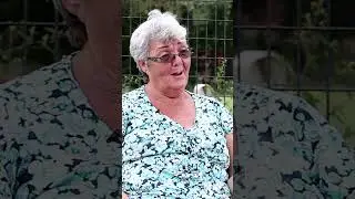 How this grandma got two bears as pets 🐻 🐻 #ytshorts #pets #animals #bear #dog #beastly #wildlife