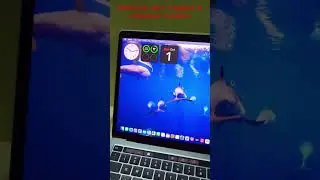 MacOS Sonoma Widget Color changing Feature