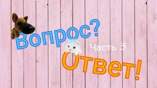Вопрос-ответ (3 часть)