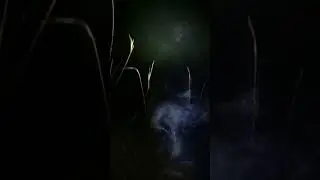 Четкое попадание в щуку 