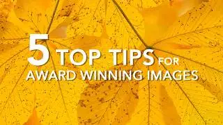 5 Top Tips to Create Images that Win Awards