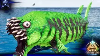 The Beginners Guide To The Xiphactinus! - Ark Survival Ascended