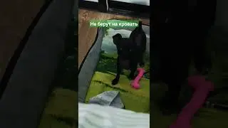 Где спать лучше 