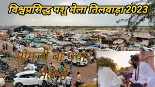 गुरुदेव भोमजी बा महाराज पधारे तिलवाड़ा मेले में और घुड़सवारी का आनंद लिया || Tilwada cattle Fair 2023