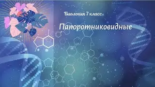 Биология 7 кл Пасечник $14 Папоротниковидные