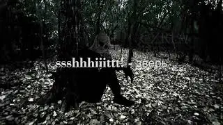 ssshhhiiittt! - зверь (Sub. Español / Lyrics)