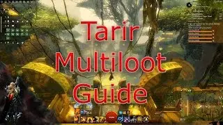 Tarir Multiloot Guide - Guild Wars 2 Gold Making Guide