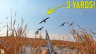 Decoying MALLARDS and GEESE Close! (Limited Out) | SOLO Kayak Duck and Goose Hunt