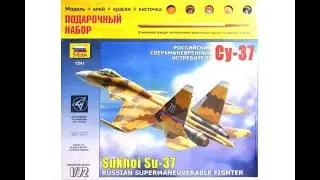 Сборная модель фирмы 
