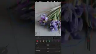 📱Lightroom #3 - Recuperando cores de fotos no celular