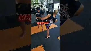 ПЕЧЕНЬ - ГОЛОВА. НОКАУТ. ТАЙСКИЙ БОКС