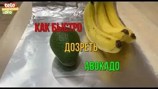 Как сделать, чтобы авокадо быстро дозрело