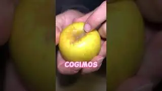 PASAMOS la NOCHE en EL JARDÍN DE LA CASA