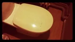 CE TOILETTE EST POSSÉDÉ !