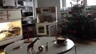 2:29 aus dem Leben eines zufriedenen Tänzers