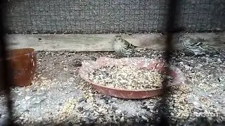 Ужын.Видео без звука!