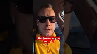 #вдудь #штефанов