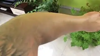 ВЕЗДЕ НАШУМЕВШИЙ ТОНАЛЬНЫЙ КРЕМ ДЕРМАКОЛ