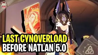 Spamming Cyno Overload Before 5.0 New META Comes | Genshin TCG