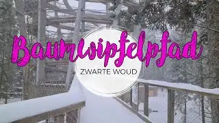 Baumwipfelpfad in Bad Wildbad: wandelen door de bomen in het Zwarte Woud