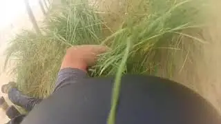FAIL Paragliding Bloopers & Accidents