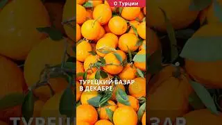 Цены в Турции на продукты 2023. Турецкий базар в декабре в Анталии.