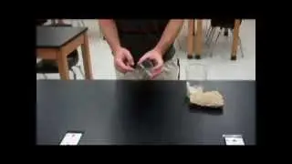Pill Bug Choice Chambers