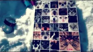•|My artbook|• ГДЕ Я РИСУЮ?!