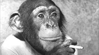 Crayon, Monkey Song