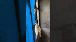 Tarsus'da Gizemli Kazının Yapıldığı Kırmızı Ev | Detaylar 