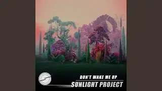 Don't Wake Me Up (Radio Cut)