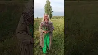 Собрала букет душистых трав