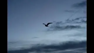 (FREE)WHERE AM I (UNKNOWN TYPE BEAT)