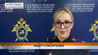 В СИТУАЦИИ С НАПАДЕНИЕМ СОБАКИ НА ДЕВОЧКУ В ПЕТРОПАВЛОВСКЕ РАЗБИРАЕТСЯ СЛЕДСТВЕННЫЙ КОМИТЕТ