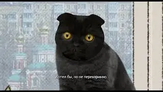 Кот и птицы | Кот Бублик