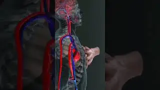 #sciencefacts #scienceexperiment