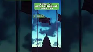 А у тебя вышло получить гражданство?