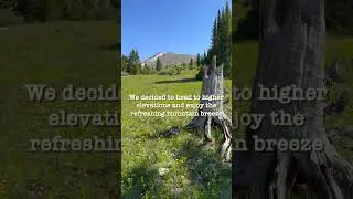 Colorado High Rockies Wildflowers