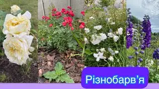 Чарівний червень//Що робити в саду в червні та липні??