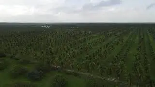 Drone voltando pra casa...