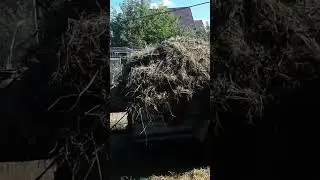 Самодельный тракторок с тележкой.