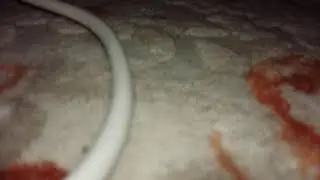 Sins reis gizli çekim