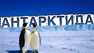 Is Antarctica the world's largest desert? What is a desert and what types of deserts are there?