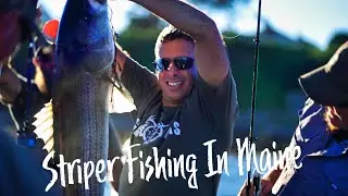 Striper Fishing In Maine