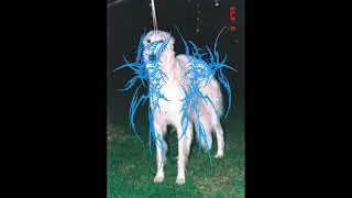 [FREE] ecco2k x pinkpantheress x bladee type beat - sighthound