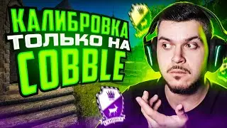 ЧТО ЕСЛИ ПРОЙТИ КАЛИБРОВКУ ТОЛЬКО НА COBBLE В НАПАРНИКАХ CS:GO