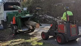 They bought their first Intrepid loader in 2020.  Now they own four Intrepid articulating loaders!