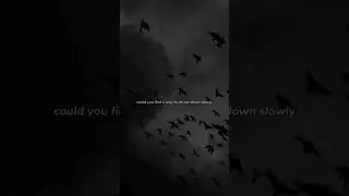 let me down slowly #trending #lyric #fyp